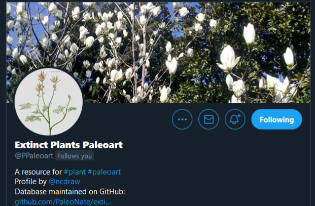 The  Extinct Plants Paleoart Database officially launches!